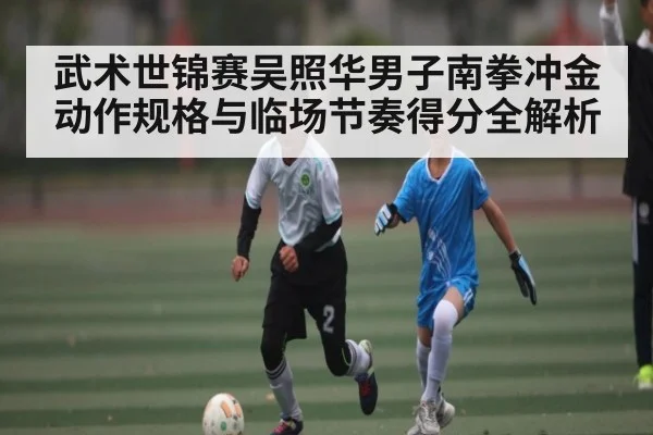 武术世锦赛吴照华男子南拳冲金动作规格与临场节奏得分全解析